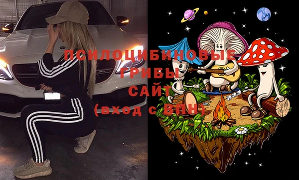 хмурый Покачи