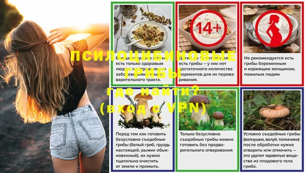 ПСИЛОЦИБИНОВЫЕ ГРИБЫ Алзамай