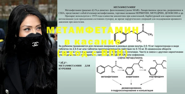PSILOCYBIN Пестово